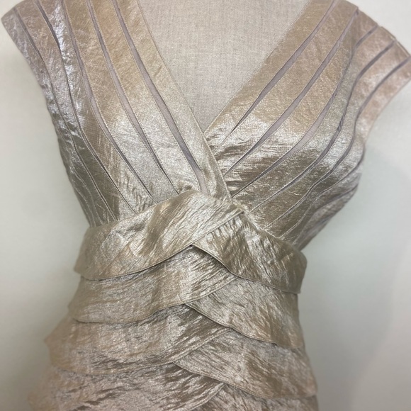 Cache Dress - Picture 3 of 5